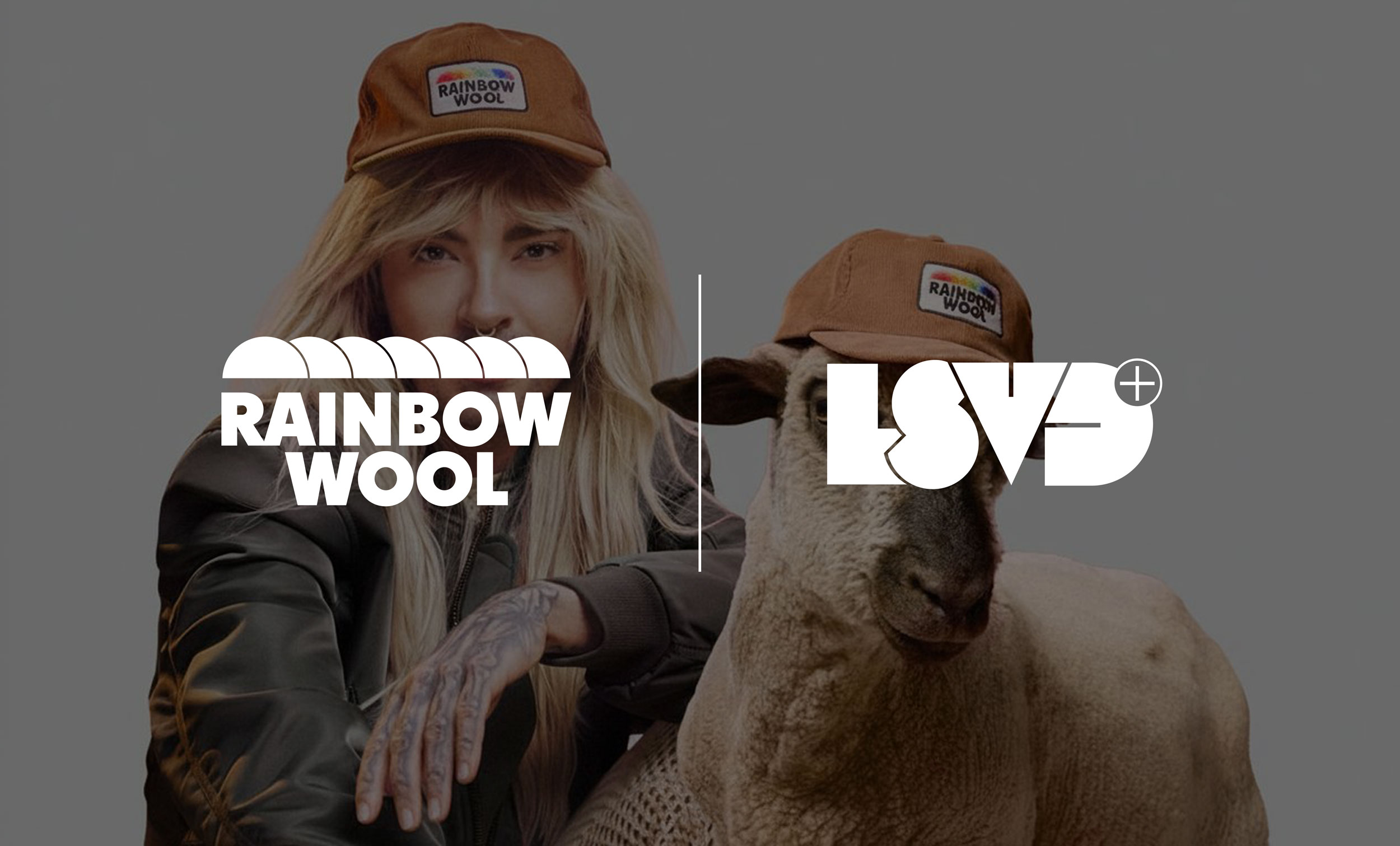Rainbow Wool LSVD Collab
